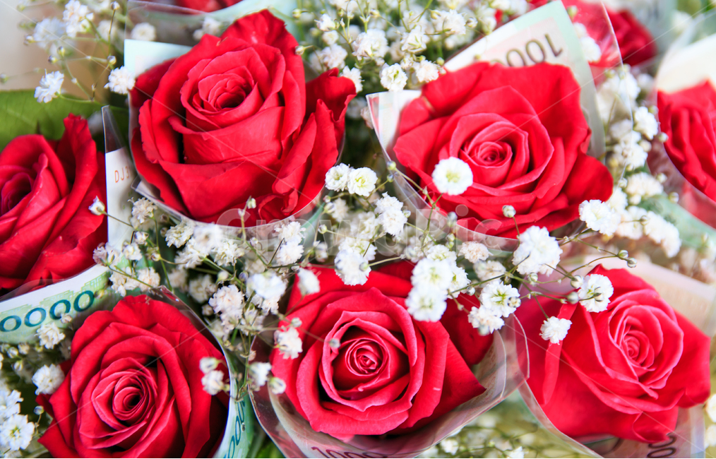 장미,장미꽃,꽃다발,돈다발,선물,기념일,생일,축하,안개꽃,붉은,강렬한,빨간색,붉은장미,특별한,꽃,식물,이벤트,돈,지폐,만원,식물,자연,plants,nature,꽃,flower,기념일,축하,anniversary,congratulation,celebrate,celebration