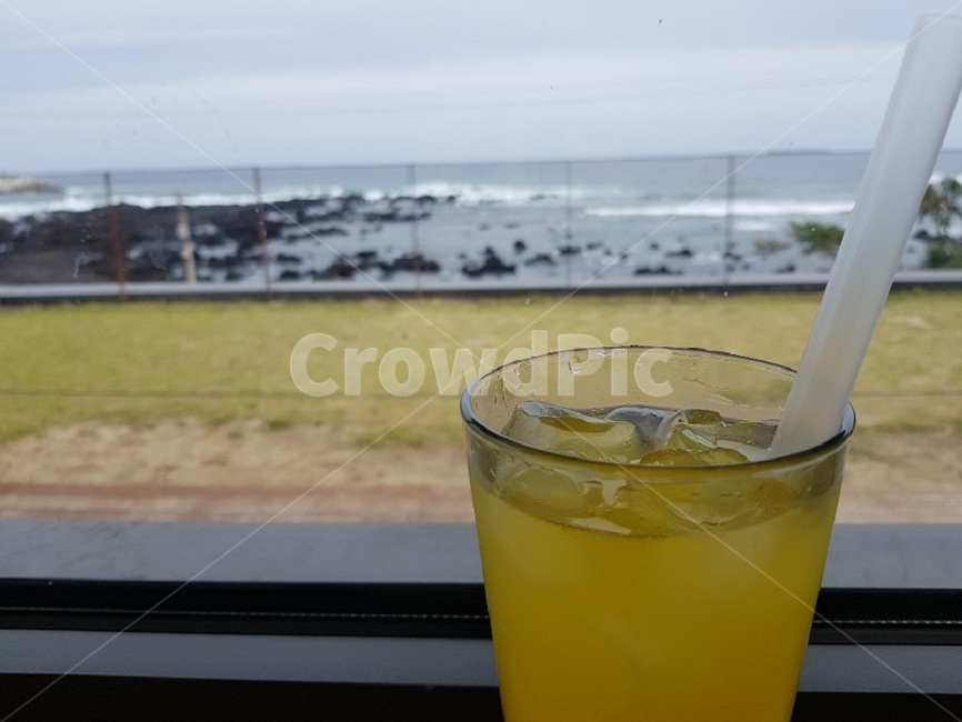 카페,제주도,음료수,한라봉쥬스,바다,drink,sea,jeju,cafe,음료수,drink,beverage