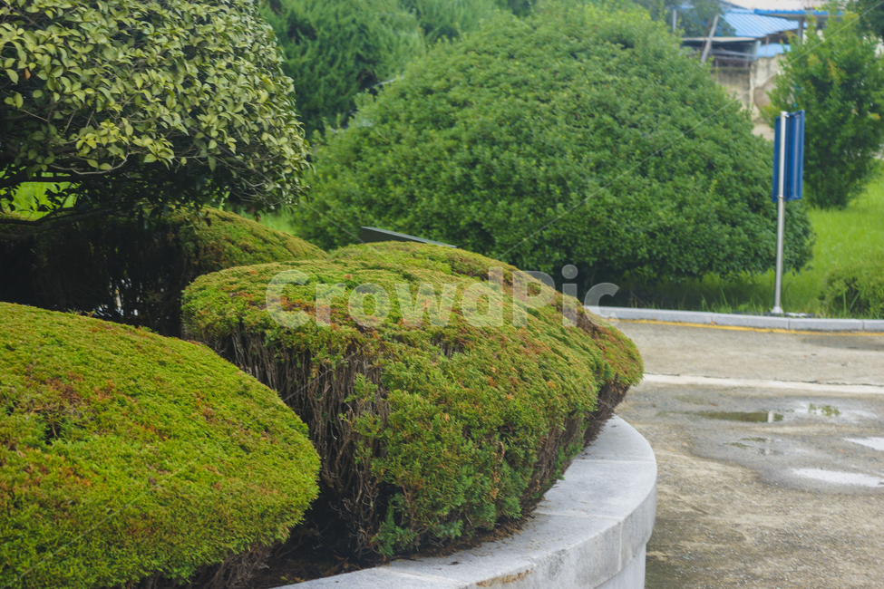 grassland,목초지,outdoors,옥외,field,들