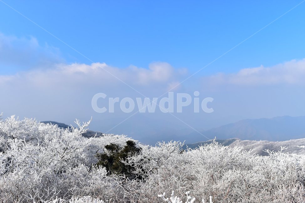 소백산,눈꽃풍경,상고대,겨울풍경,국립공원,겨울동화,힐링,감성,아름다움,뷰티풀,설국,눈풍경,파란하늘,100대명산,겨울명산,설경,서리꽃,snow,landscape,눈,화이트,자연,신비로운,경이로운,천상,비경,치유,산,명산,자연풍경,늦가을,영주,단양,풍기,희방사,삼가리,비로봉,연화봉,겨울,계절,winter,season,자연,풍경,nature,landscape,한국자연풍경,한국자연경관,korea nature landscape,outdoors,옥외,ice,얼음