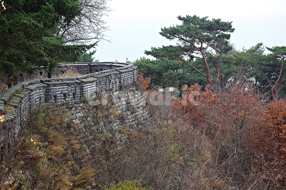 남한산성,성,성곽,단풍,낙엽,길,둘레길,숲,숲길,담,돌담,가을,자연,풍경,벽,울긋불긋,산성,식물,가을,계절,fall,autumn,season