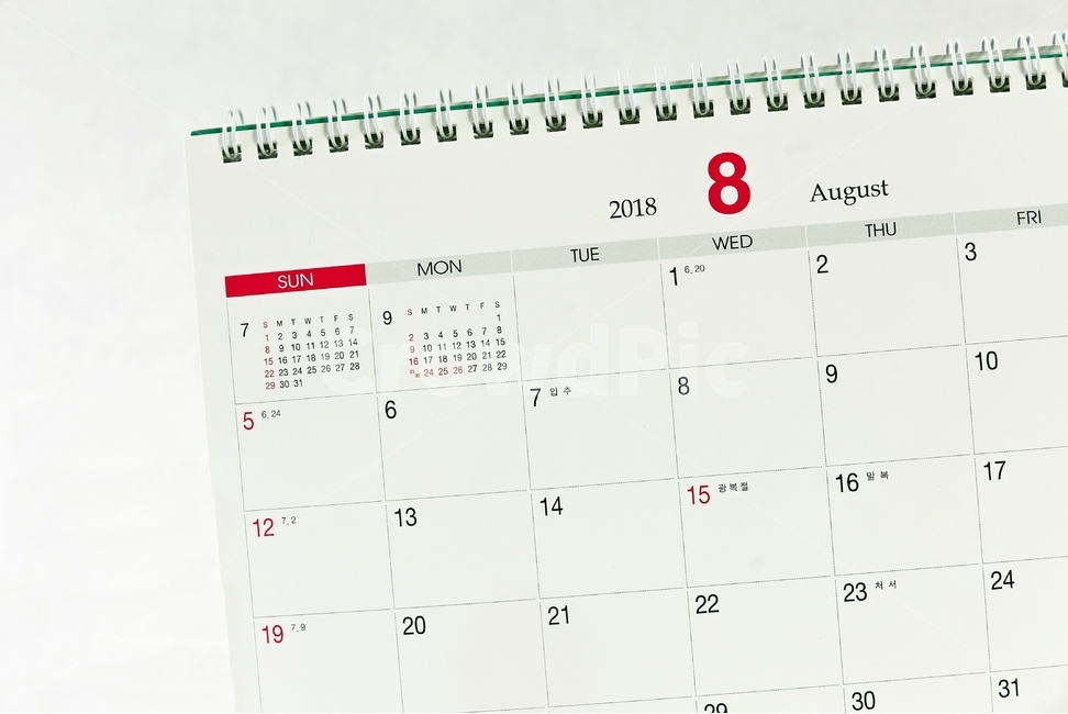 making a plan,sign,office,employee,spring,light green,plan,new year,image,work,August,moon,background,monthly plan,desk calendar,rectal,Karanda,annual plan,house,life,For desk,background image,1 year,paper,vacation,company,table,calendar,factory,calender,