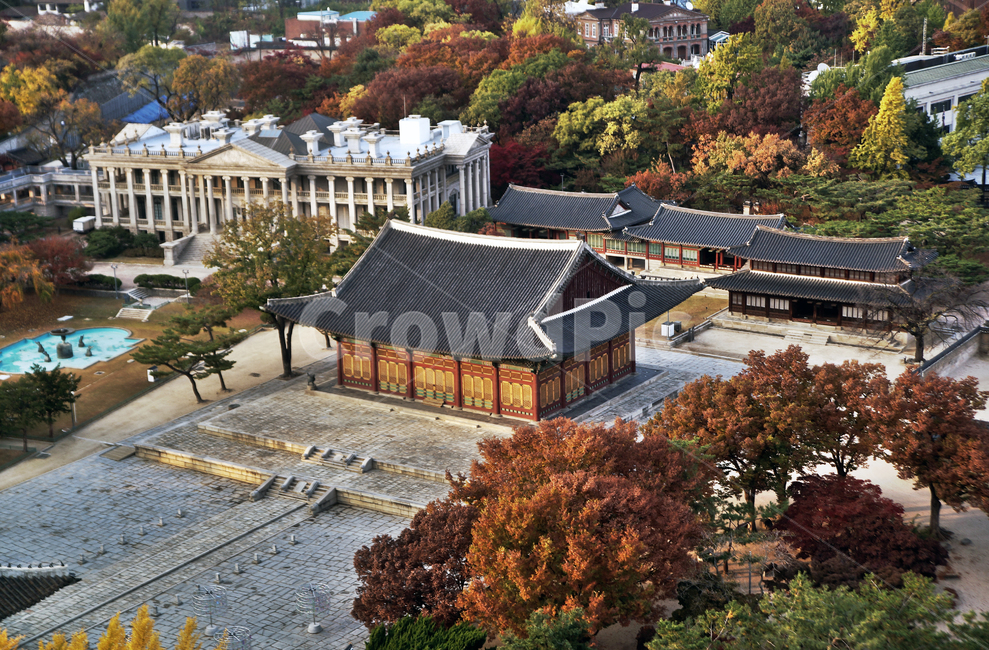 덕수궁,궁궐,가을,계절,서소문,도심,중화전,석조전,한국전통,한국문화,korean traditional,korean culture