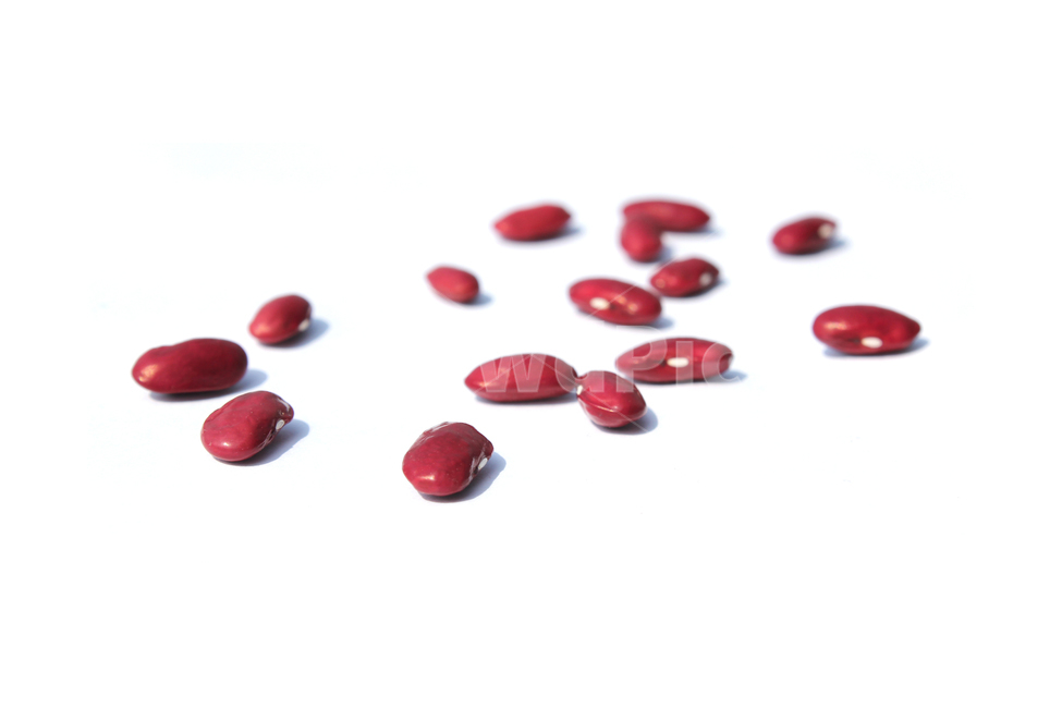 붉은콩,bean,콩,redbean,brown,closeup,dry,food,protein,red,seed,uncooked,vegetable,white,흰배경,야채,붉은색,빨강,말린,단백질,씨앗,요리재료,식재료,요리,음식,음식,식재료,요리,food,cook,meal,dishes,food reserves,콩류,견과류,beans,pulse,nuts,dry fruits,누끼,remove background