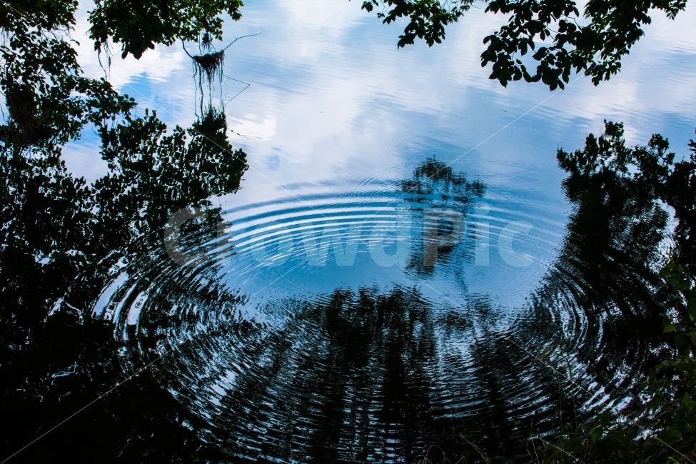 강,반영,물파장,파장,하늘,자연,풍경,nature,landscape,outdoors,옥외,water,물