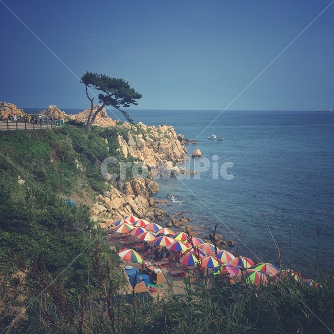 울산,대왕암공원,바다,파라솔,자연풍경,korea,자연,풍경,nature,landscape,한국자연풍경,한국자연경관,korea nature landscape,해변,바다,beach,sea,promontory,곶