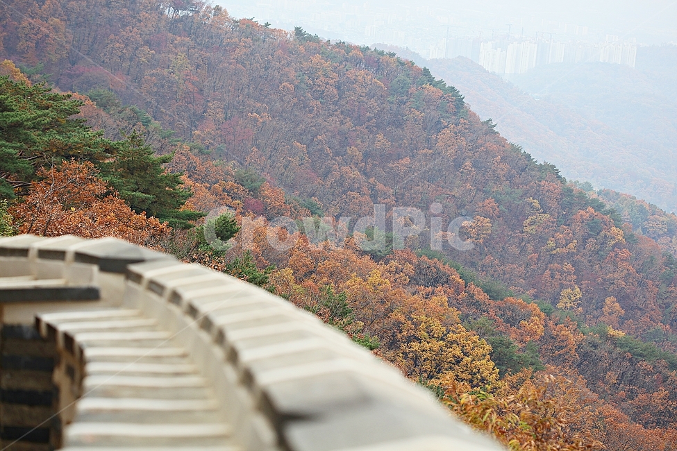남한산성,성,성곽,단풍,낙엽,길,둘레길,숲,숲길,담,돌담,가을,자연,풍경,벽,울긋불긋,산성,식물,가을,계절,fall,autumn,season