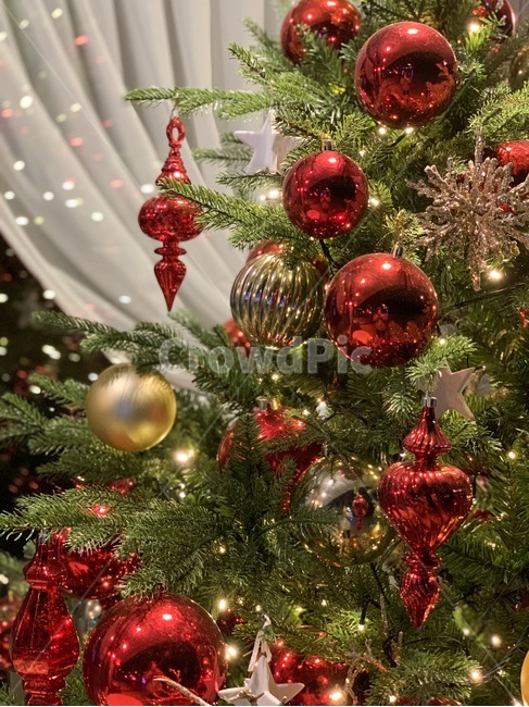 tree,나무,ornament,장식,christmastree,크리스마스트리,식물,plant,크리스마스,메리크리스마스,성탄절,merry christmas