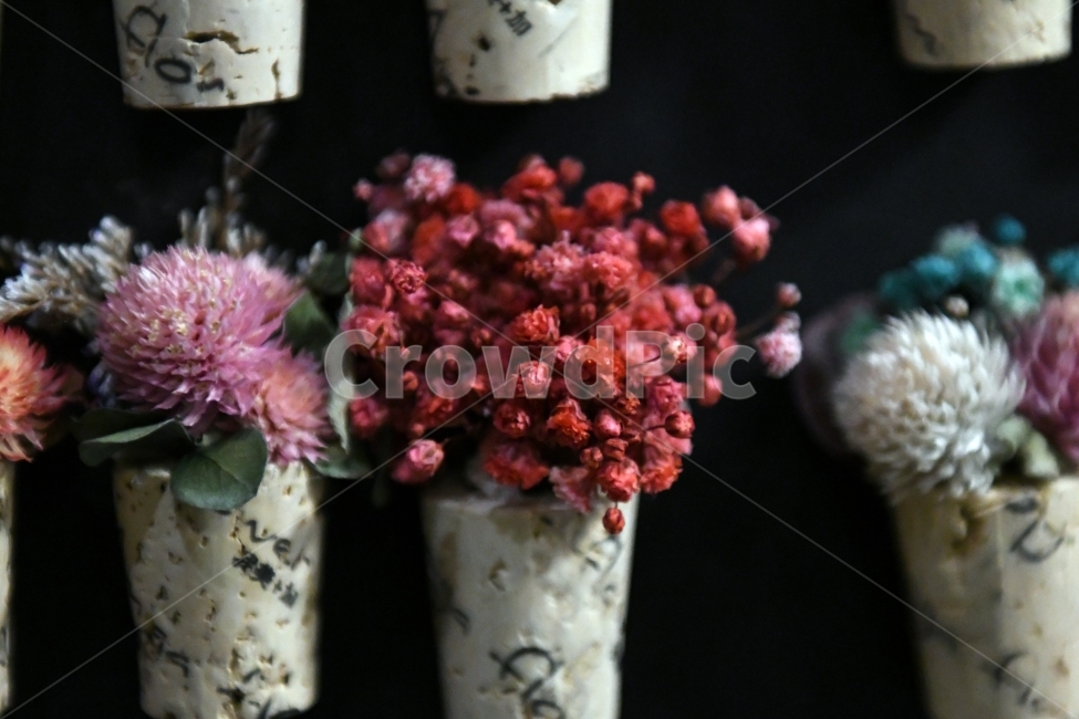 안개꽃,꽃,감성사진,감성,식물,자연,플라워,감정,색깔,색채,색감,칼라,flower,꽃다발,인테리어,소품,사물,기념일,축사,plants,배경화면,안개,nature,빨강,화분,꽃,flower