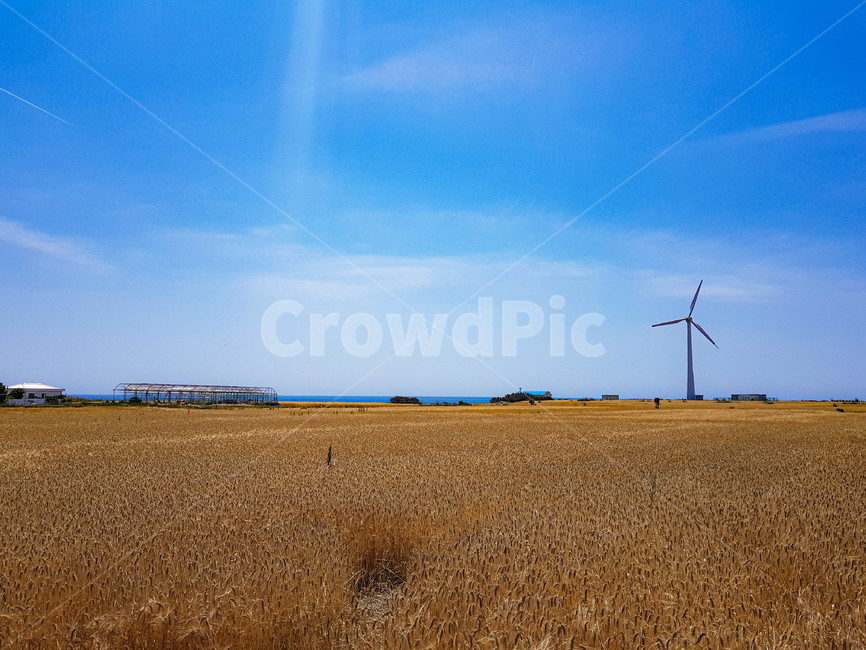 자연,힐링,하늘,보리밭,구름,맑음,nature,제주도,제주,경치,landscape,보리,barley,풍경,scenery,sunny,봄,spring,휴식,rest,healing,sky,cloud,푸른,blue,jeju,풍차,자연,풍경,nature,landscape,machine,기계,engine,엔진,motor,모터