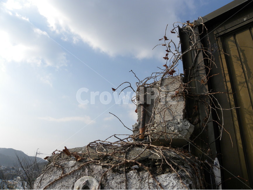 대문,하늘,덩굴,배경,가을,gate,door,sky,vine,background,fall,식물,자연,plants,nature,빈티지사진,빈티지느낌,빈티지감성,vintage,건축물,건물외관,exterior,building,structure,architecture,construction