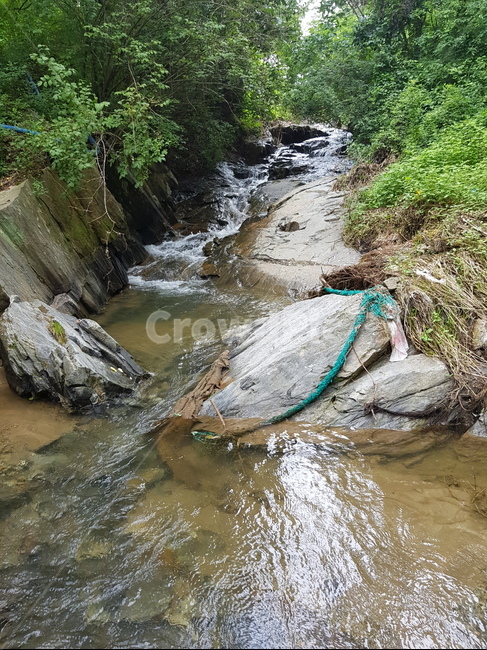 계곡,물,산,나무,물줄기,시원함,자연,풍경,nature,landscape,water,outdoors,옥외,stream,흐름,creek,작은 만