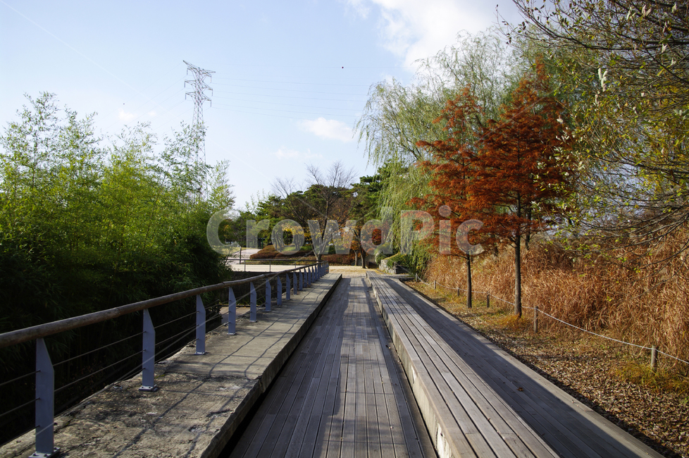 autumn,가을,나무,단풍,식물,공원,길,가을,계절,fall,autumn,season,자연,풍경,nature,landscape,boardwalk,산책로,building,건물,bridge,다리