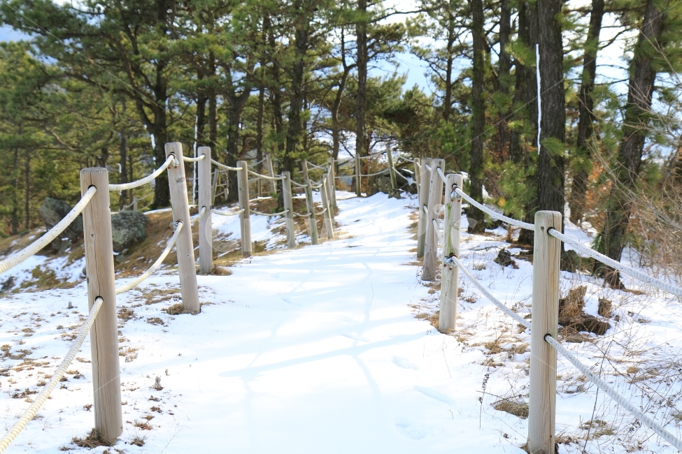 자연,겨울,계절,nature,water,season,winter,cold,snow,눈,산책로,등산,산,나무,식물,운동,겨울,계절,winter,season,자연,풍경,nature,landscape,handrail,난간,banister,plant,tree