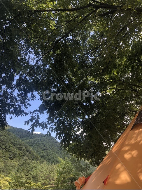캠핑,하늘,산,여름,자연,자연,풍경,nature,landscape,tree,나무,plant,식물