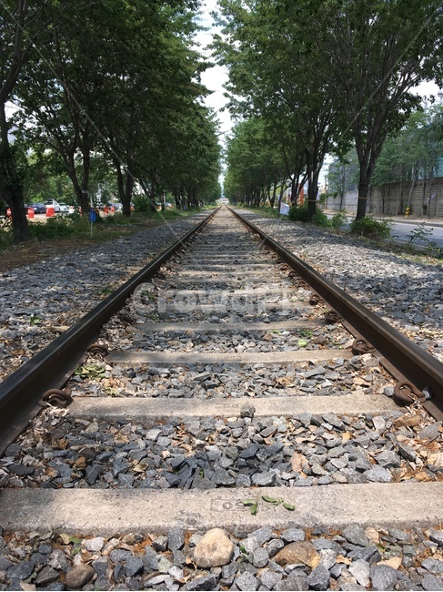 철도,철길,기차,기찻길,railway,railroad,train