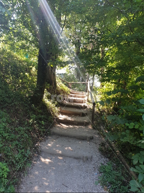 계곡,협곡,슬로베니아,빈트가르,gorge,valley,vintgar,빛,숲,햇빛,나무,자연,풍경,경관,landscape,path,오솔길,숲길,자연,풍경,nature,landscape,garden,정원,outdoors,옥외,arbour,정자