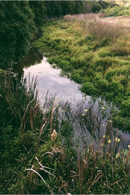 산책,풍경,경치,view,조용한곳,냇가,웅덩이,자연,풍경,nature,landscape,ditch,도랑