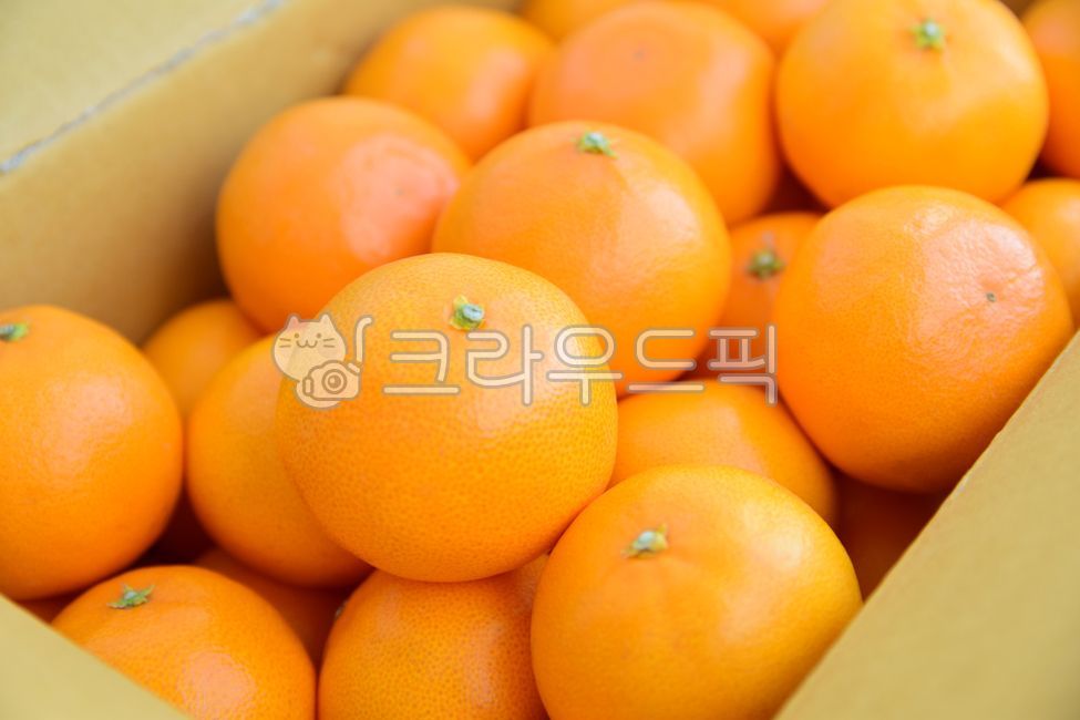winter snack,fragrant,winter fruit,vitamin c,packaging box,fruit,snack,Paper box,winter,box,Orange,One box,Cheonhyehyang,ingredients,citrus fruits,package,Fruit,health,vitamin,food,health food,orange,citrusfruit,nutrition,dessert,foodreserves,Cheonhyehyan