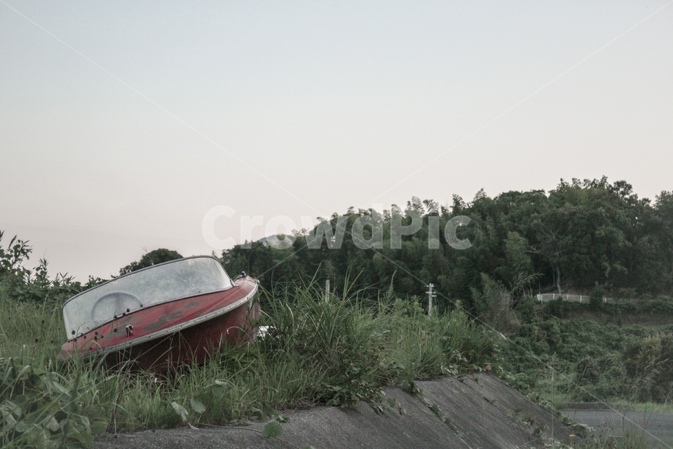 보트,버려진,시골,논,밭,노을,여름,산