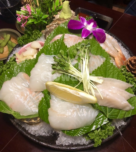 회,물고기,생선,광어회,음식,음식,식재료,요리,food,cook,meal,dishes,food reserves,수산물,해산물,fishery products,seafood,일식,일본음식,일본요리,Japanese food,Japanese dishes,Japanese meal,Japanese cook