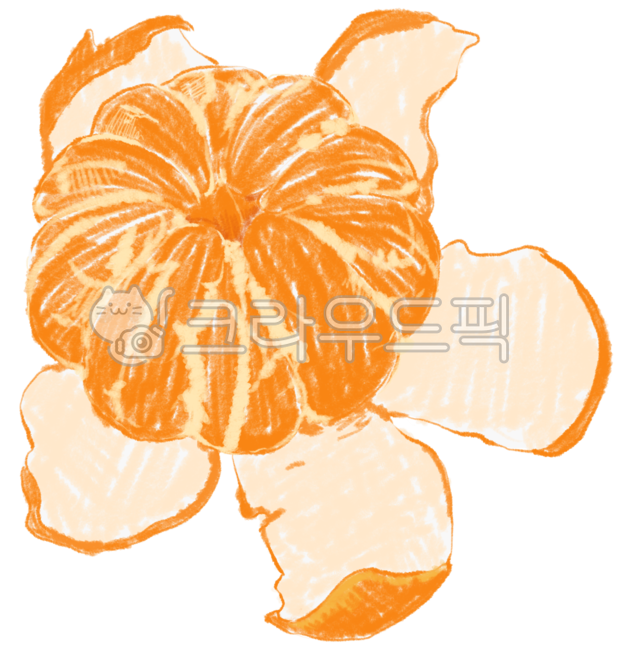 과일, 귤, 감귤, tangerine, citrus, 사진,이미지,일러스트,캘리그라피 - JU1작가