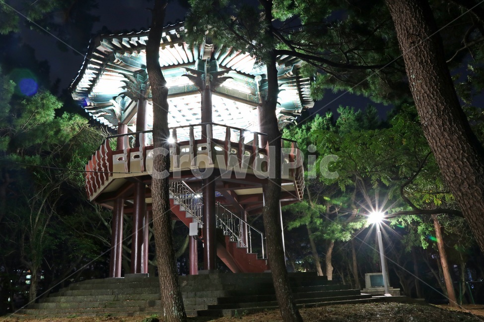 parknightview,Park night view,evening park,park