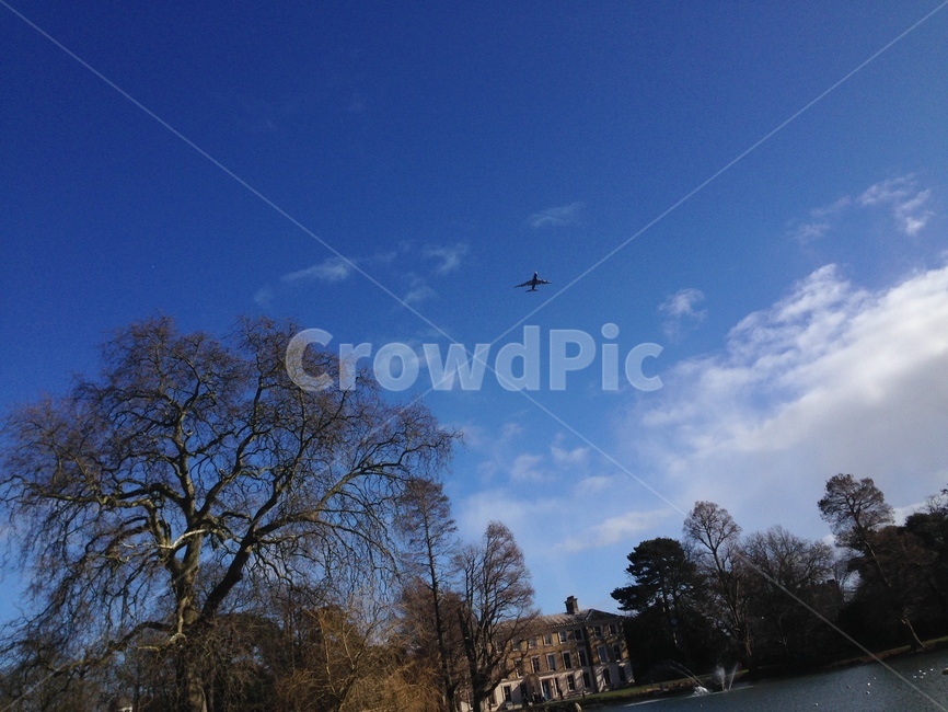 하늘,나무,비행기,평화,영국,평화로움,유럽,구름,sky,bluesky,tree,flight,unitedkingdom,peace,peaceful,plane,aircraft,airplane,cloud,europe