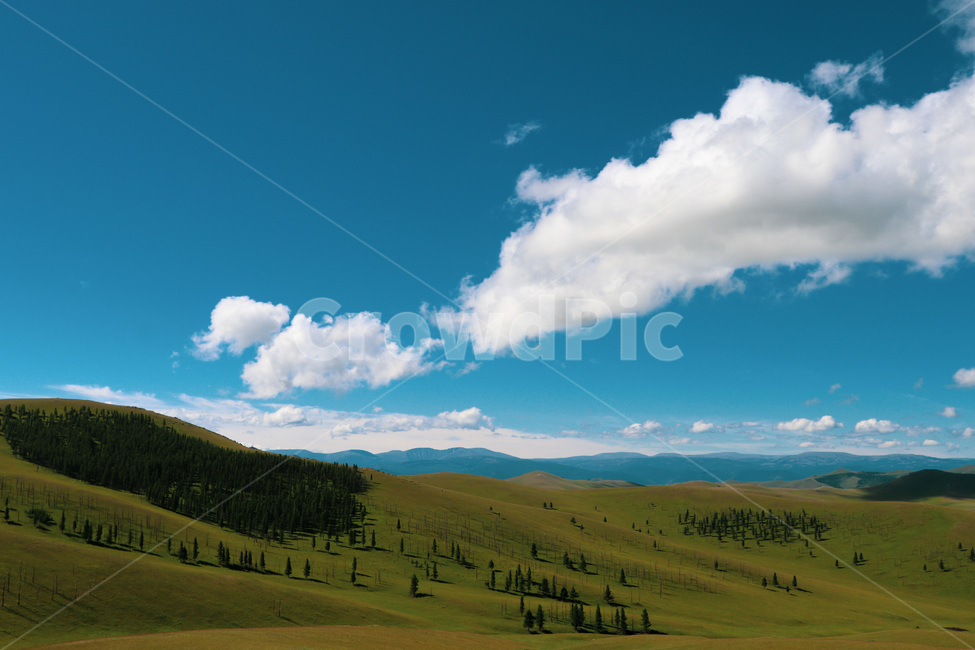 nature,자연,outdoors,옥외,field,들,grassland,목초지,하늘,sky,cloud,구름,자연,풍경,nature,landscape