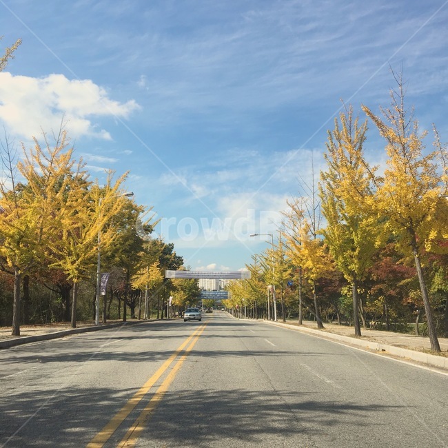 road,도로,tarmac,asphalt,아스팔트,자연,봄,가을
