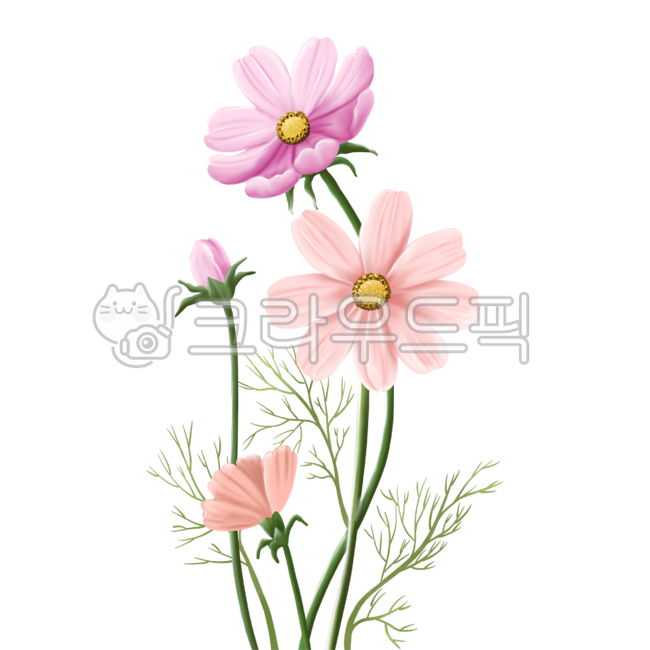 꽃,flower,코스모스,가을꽃,꽃장식