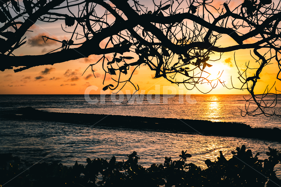 석양,선셋,sunset,셰이샐,seychelles,desrochesisland,데로쉐섬,해변,바다