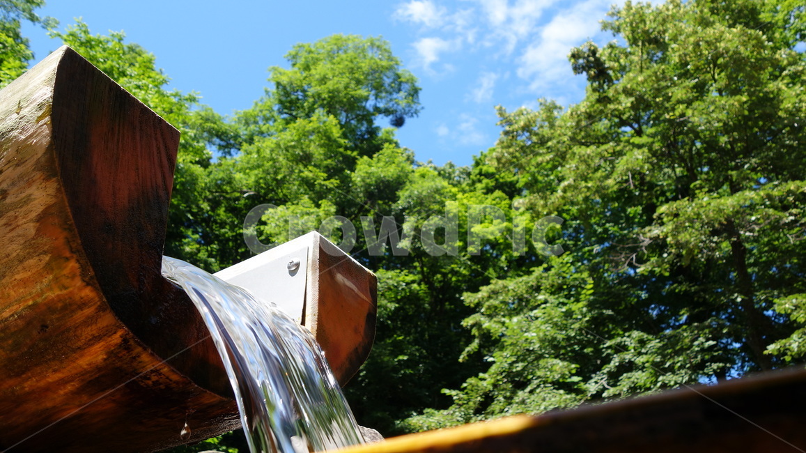 물,자연,초록숲,여름,숲,물레방아,시원,초록색,water,green,nature,forest