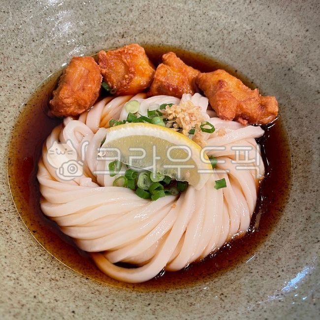붓카케,붓카케우동,붓가케,냉우동,가리아게,우동,dish,bowl