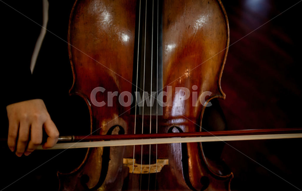 첼로,cello,악기,연주,연주자,첼로연주자,첼리스트,악기,음향기기,musical instrument,musical equipment
