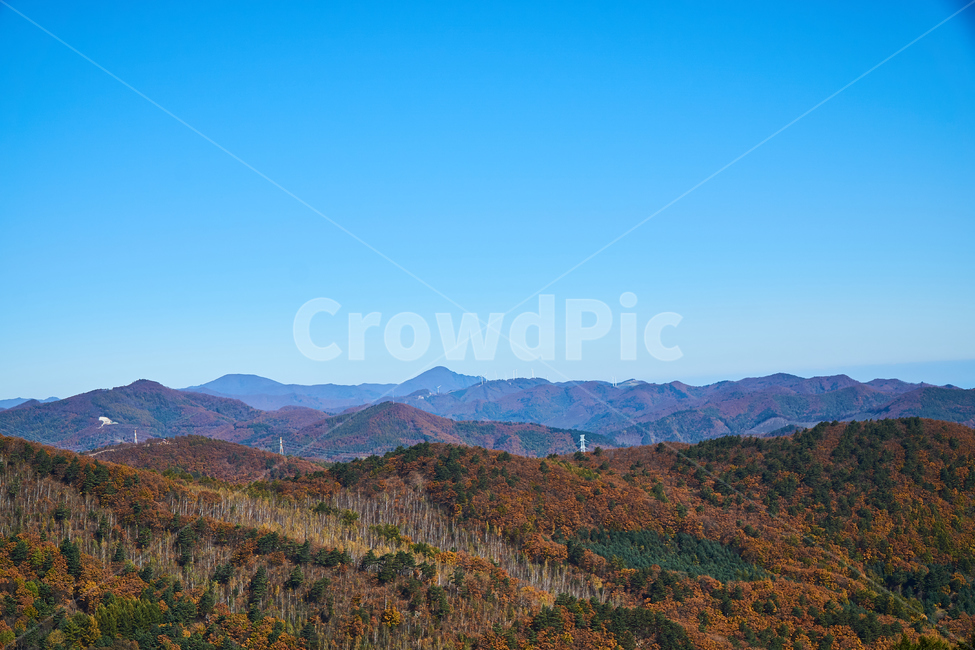 산맥,한국풍경,가을,단풍,mountainrange,mountain,자연,산,옥외,nature,매봉산,바람의언덕,강원도,청명한,autumn,태백,맑은하늘,하늘,sky,가을,계절,fall,autumn,season,자연,풍경,nature,landscape,한국자연풍경,한국자연경관,korea nature landscape,outdoors,mountain range