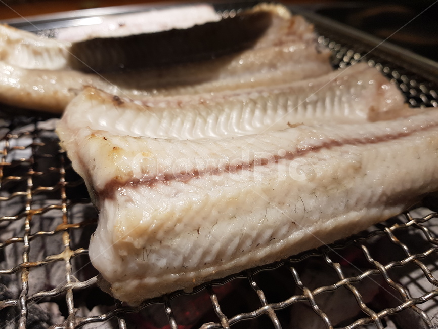 장어,장어구이,eel,meal,식사,음식,요리,food,dish,fish,bbq,바베큐