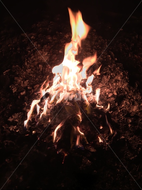 불,모닥불,캠프파이어,불꽃,장작불