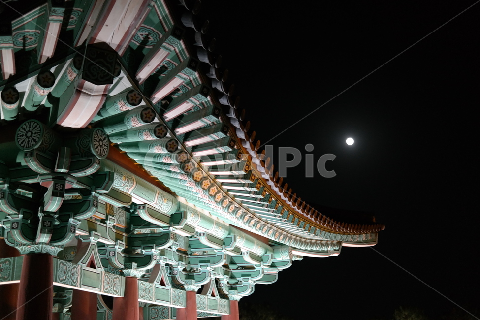 경주,야경,안압지,달,달밤,유적,야경,밤,풍경,nightscape,night,landscape,한국전통,한국문화,korean traditional,korean culture,랜드마크,landmark,tourist attraction,한국랜드마크,한국관광지,한국명소,korea landmark,korea tourist attraction,건축물,건물외관,exterior,building,structure,architecture,construction,건물