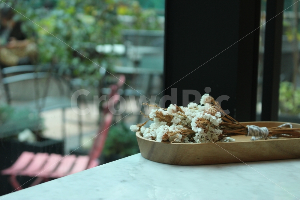 커피,카페,스페셜티,로스터리,인테리어,맛집,coffee,cafe,specialty,roastery,소품,꽃,드라이플라워,식물,자연,plants,nature,꽃,flower