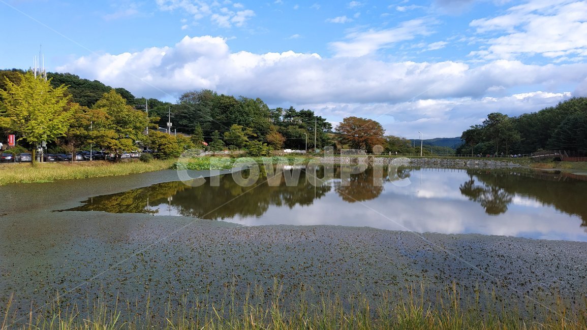 가을,청주,연못,하늘,반영,autumn,산성,sky,구름,cloud,자연,nature,자연,풍경,nature,landscape