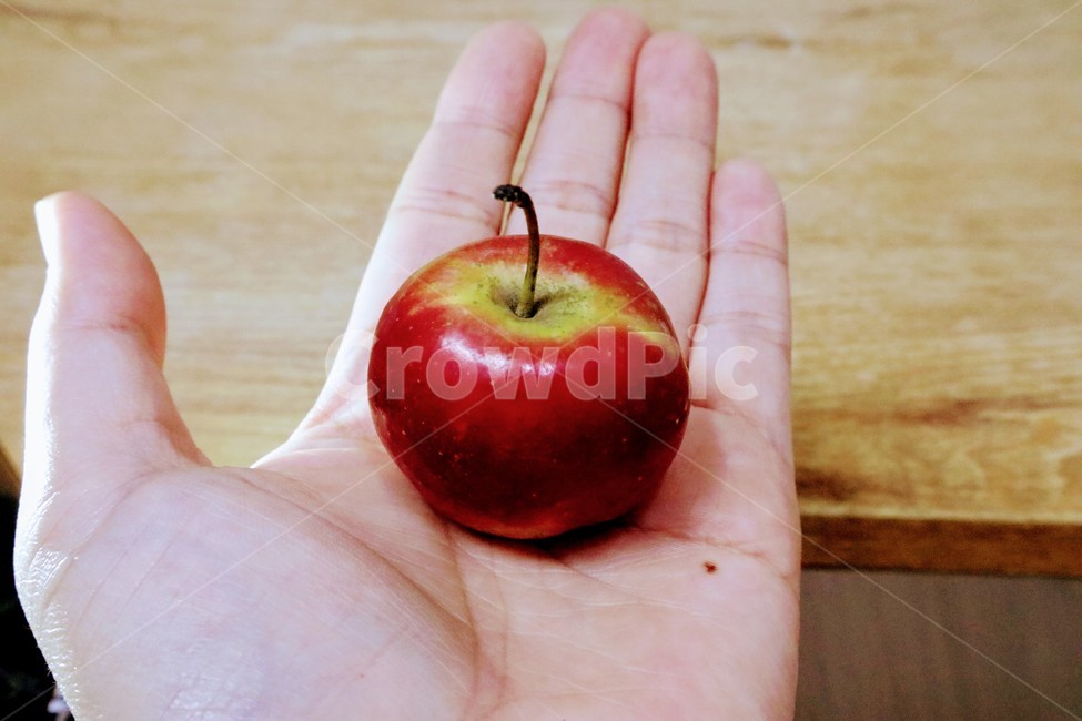 미니사과,사과,손,새끼사과,애플,과일,과일,열매,fruit
