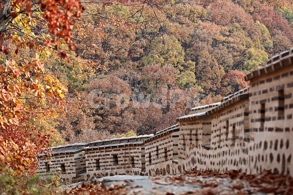 남한산성,성,성곽,단풍,낙엽,길,둘레길,숲,숲길,담,돌담,가을,자연,풍경,벽,울긋불긋,산성,식물,가을,계절,fall,autumn,season,한국전통,한국문화,korean traditional,korean culture,nature,outdoors,옥외