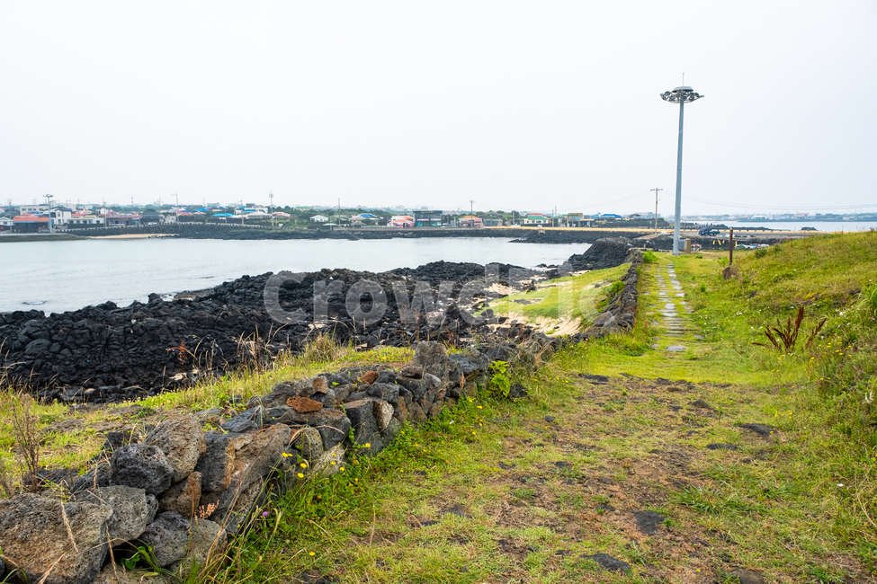 제주,제주도,우도,바다,자연,nature,풍경,섬,풀밭,풀,아름다운풍경,바닷가,비양도,자연,풍경,nature,landscape,제주도,jeju,jeju island,ground,바닥