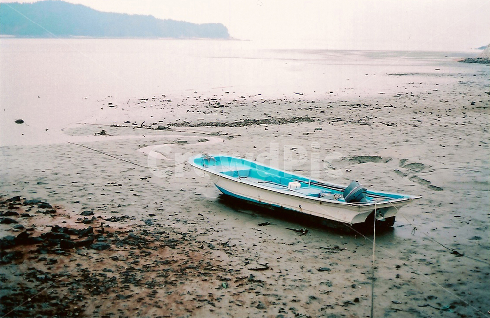 썰물,선박,보트,바다,진흙,정박,boat,watercraft,필름사진,분위기,흐림,감성