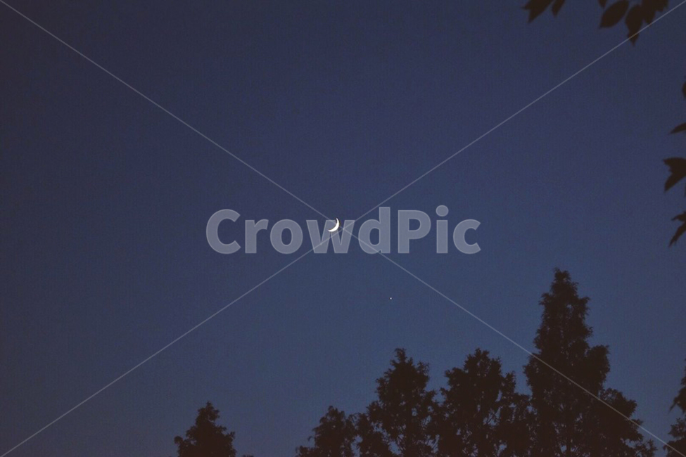 달,밤,하늘,초승달,나무,자연,풍경,nature,landscape,야경,밤,nightscape,night,outdoors,옥외