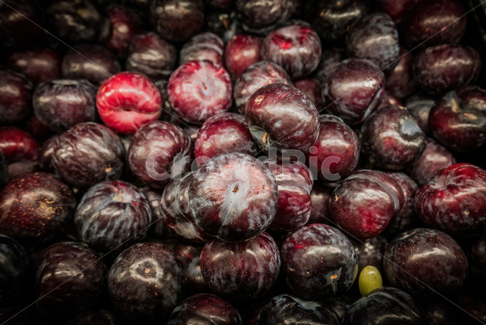 자두,서양자두,프랑스과일,유럽과일,red,fruit,버건디,과일,외국과일,유럽,음식,식재료,요리,food,cook,meal,dishes,food reserves,과일,열매,fruit