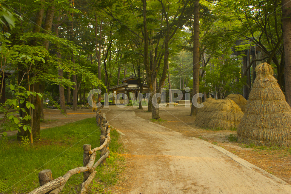 in the woods,forest,Naminara,Chun Cheon,hut,soil,house,cone,branch,triangle,trail,road,wooden fence,Handrail,dirt road,green,nature,Nami Island,tree,farsighted,House,brown,korea,rice straw,plant,road name,walking path,fence