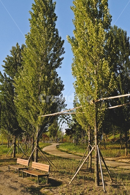 나무,하늘,파란하늘,tree,sky,bluesky,산책로,벤치
