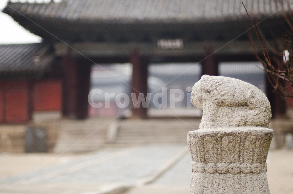 창경궁,아웃포커싱,해태,한국,korean,korea,전통,궁,한국전통건축,건축물,전통건축,한국전통,한국문화,korean traditional,korean culture,조각상,동상,석상,조형물,statue,bronze statue,stone statue